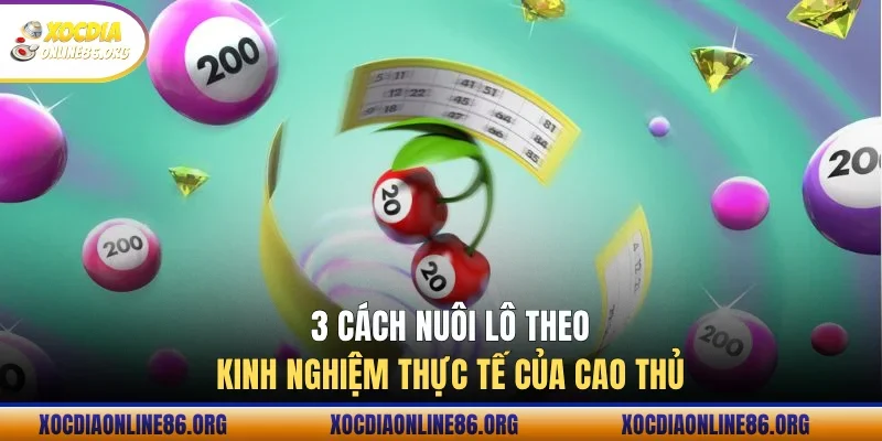 3 cach nuoi lo theo kinh nghiem thuc te cua cao thu 3 cách nuôi lô theo kinh nghiệm thực tế của cao thủ