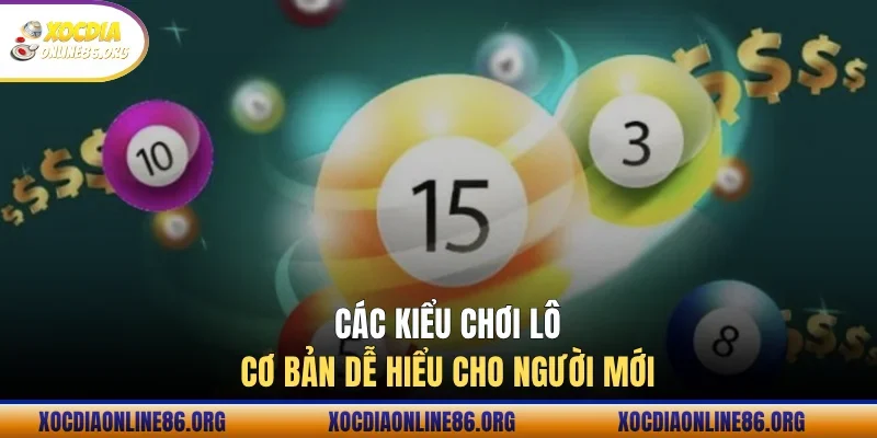 cach kieu choi lo co ban de hieu cho nguoi moi Các kiểu chơi lô cơ bản dễ hiểu cho người mới
